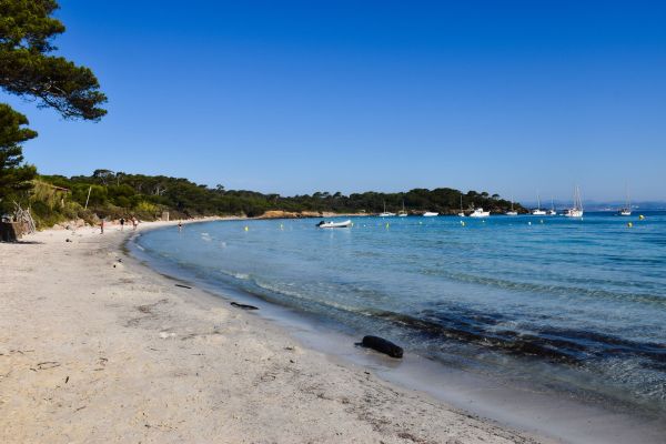 Elle a exploré chaque plage de la Côte d'Azur : son récit captivant